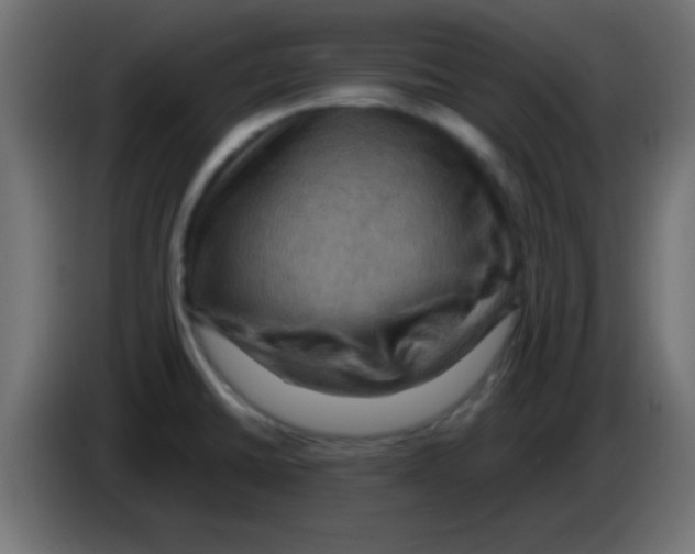 X0000083041430200703022038