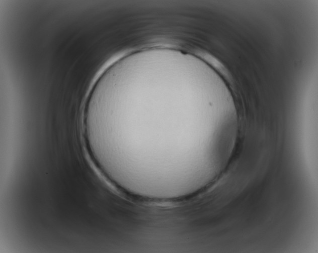 X0000083041431200703022038