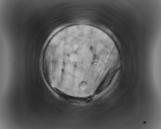 X0000083041432200703022039