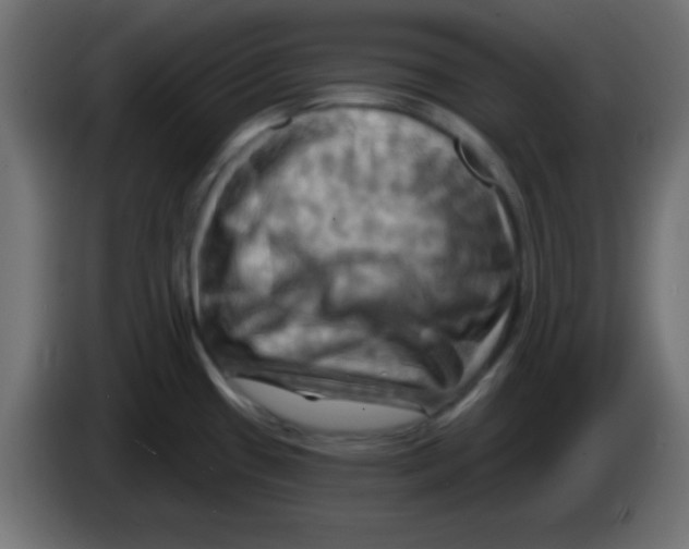 X0000083041433200703022039