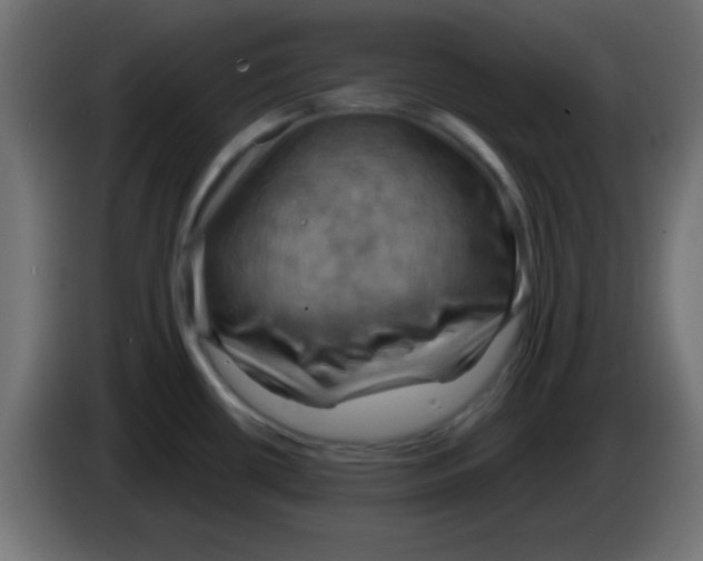 X0000083041434200703022039