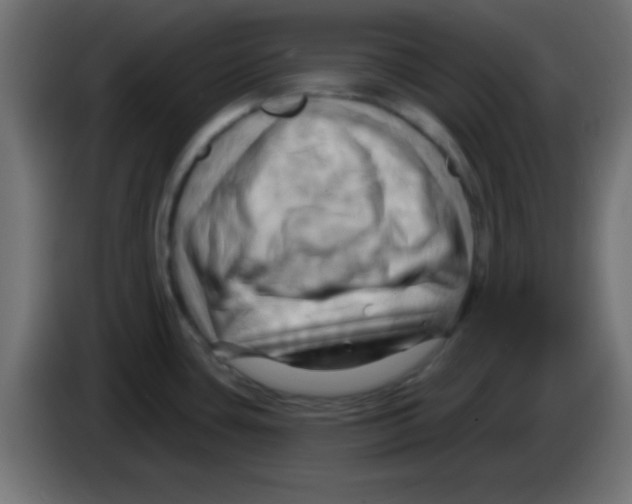 X0000083041435200703022039