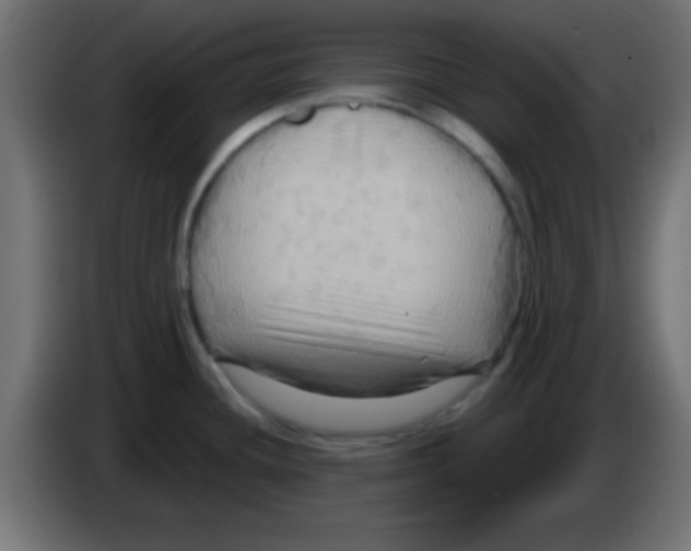 X0000083041436200703022039