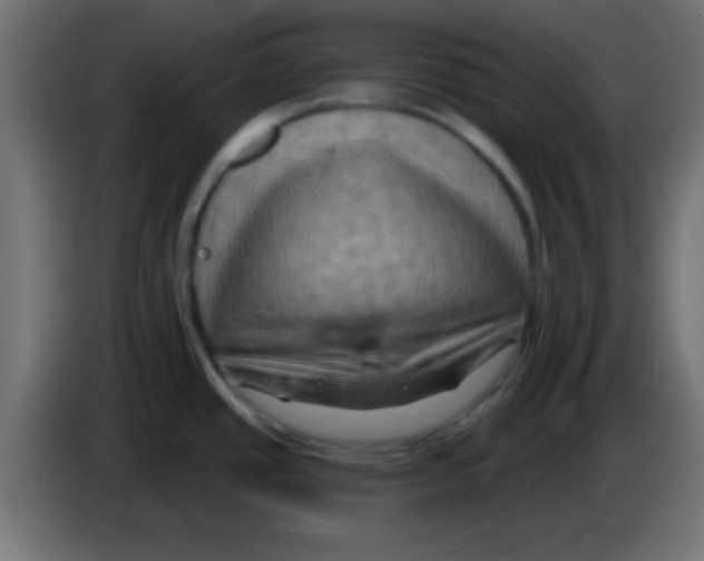 X0000083041437200703022039