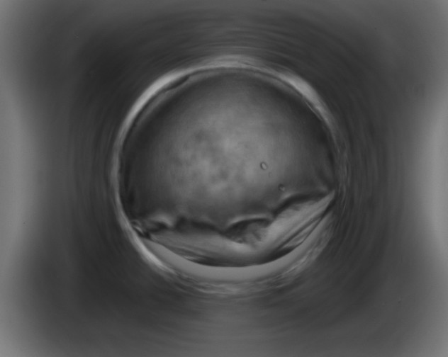 X0000083041438200703022039