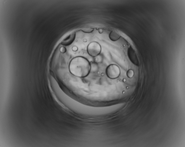 X0000083041439200703022039