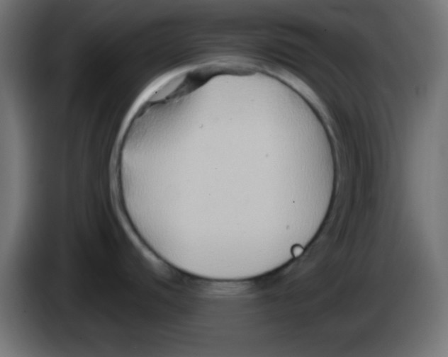 X0000083041440200703022039