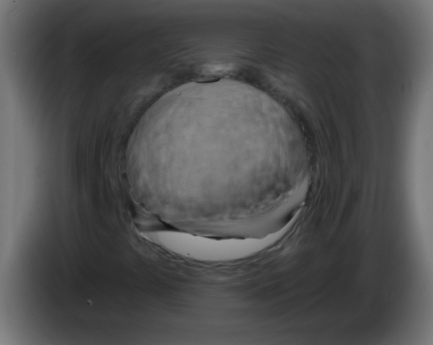 X0000083041441200703022038