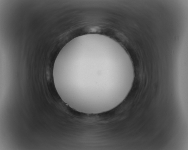 X0000083041442200703022038