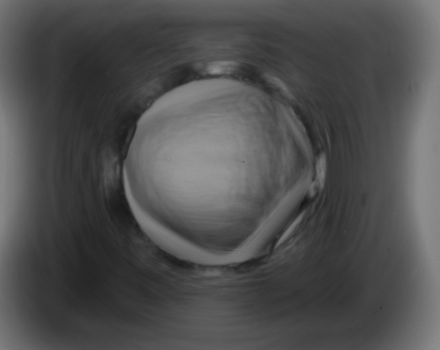 X0000083041443200703022038