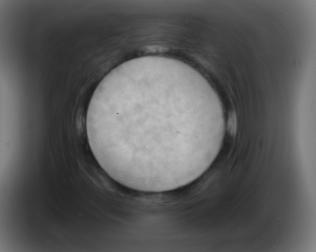 X0000083041444200703022038