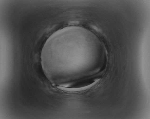 X0000083041445200703022038