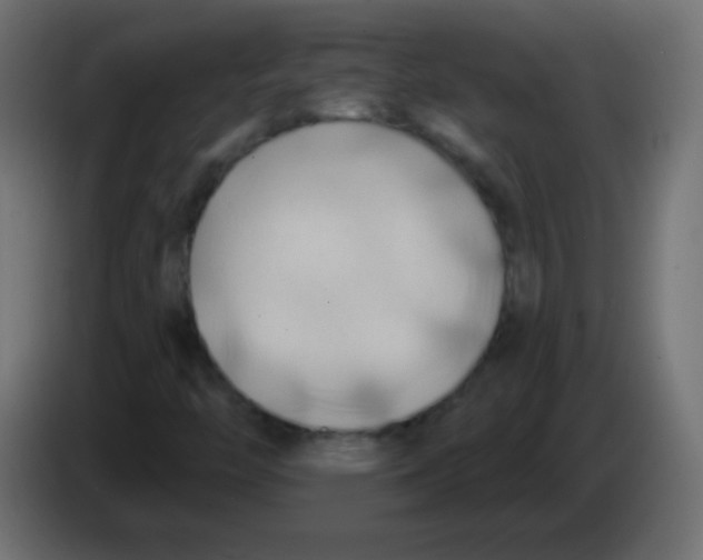 X0000083041446200703022038