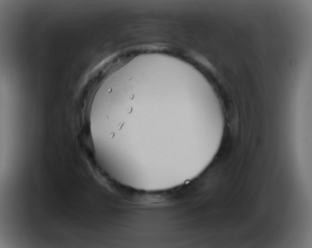 X0000083041448200703022038