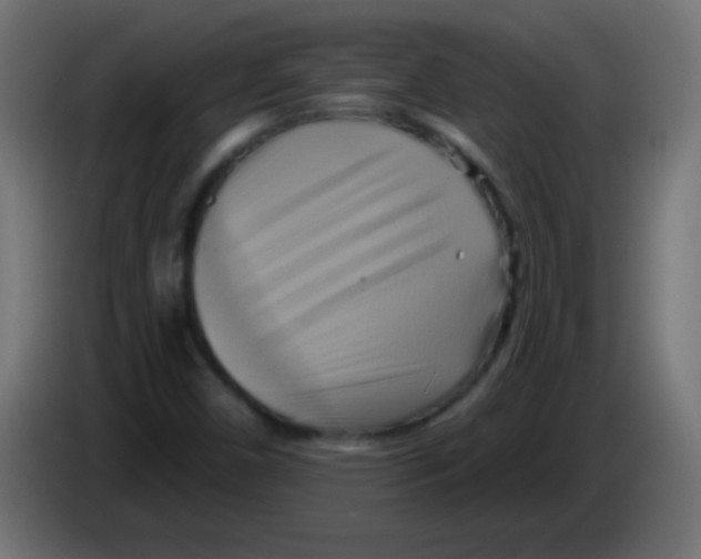 X0000083041450200703022038