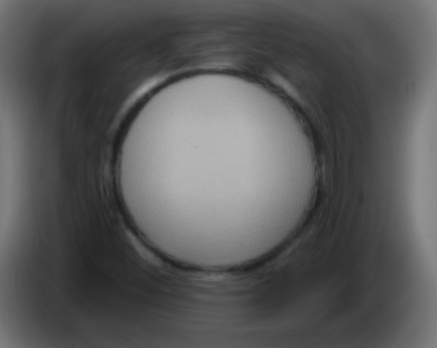 X0000083041452200703022038