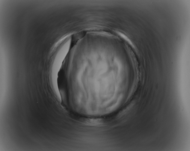 X0000083041453200703022038