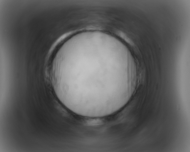 X0000083041454200703022038