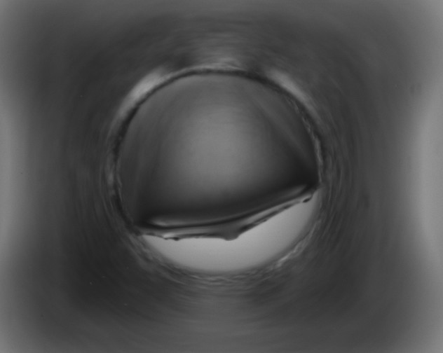 X0000083041455200703022038