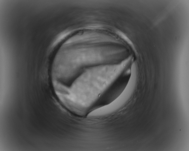 X0000083041456200703022038