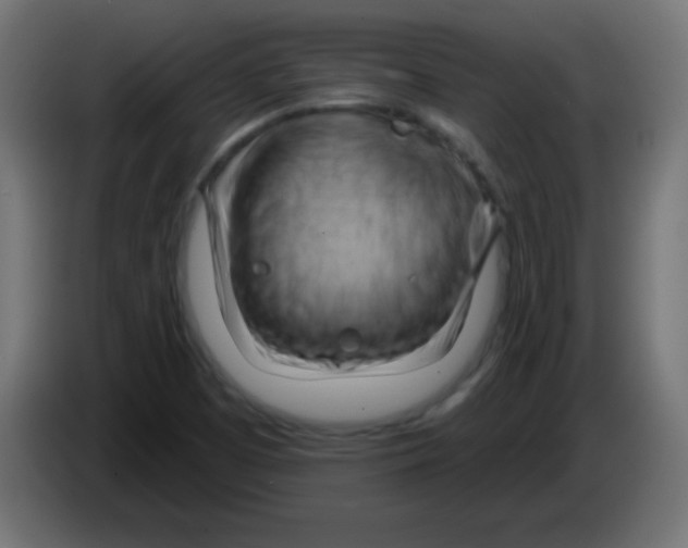 X0000083041457200703022038