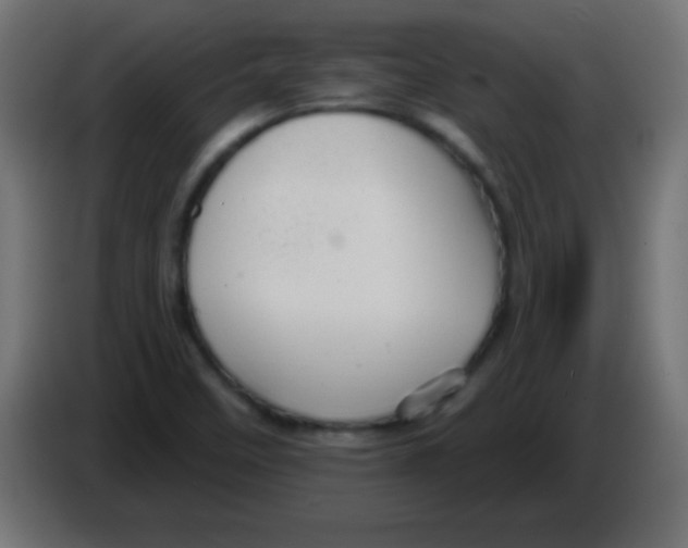 X0000083041458200703022038