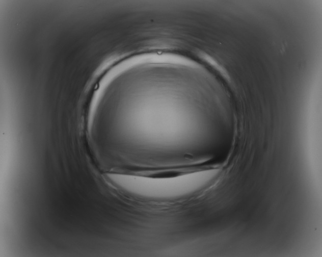 X0000083041459200703022038