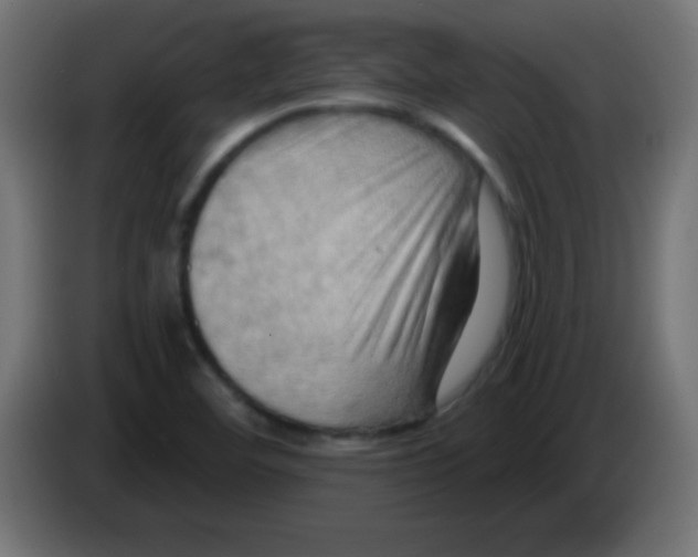 X0000083041460200703022038