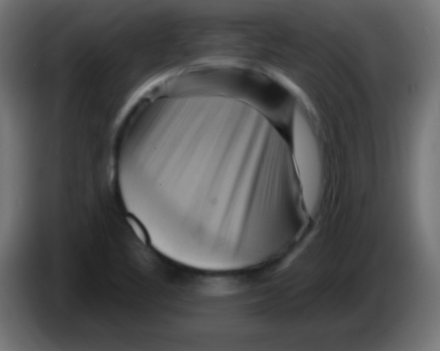 X0000083041461200703022038