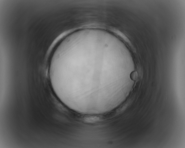 X0000083041462200703022038