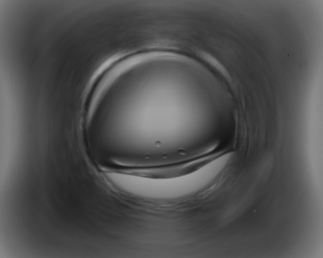 X0000083041463200703022038