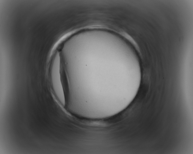 X0000083041464200703022038