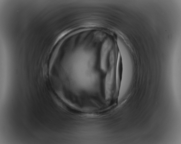 X0000083041465200703022038