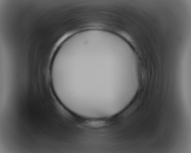 X0000083041466200703022038