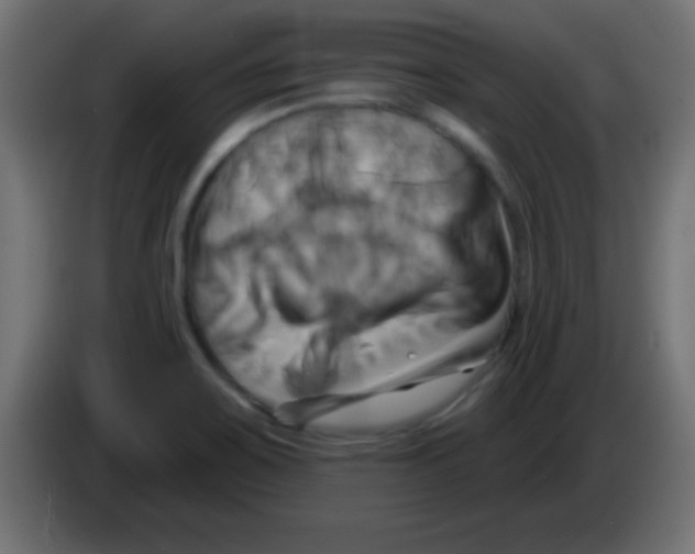 X0000083041467200703022038