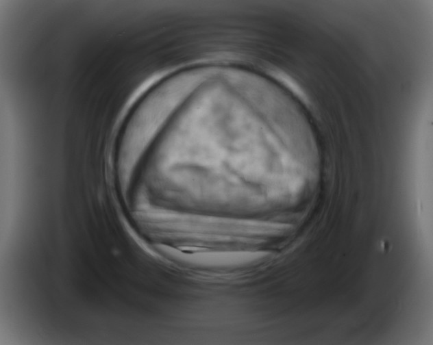 X0000083041468200703022038