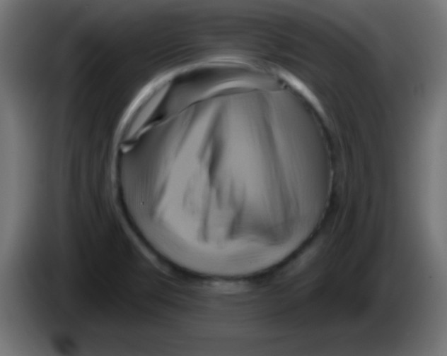 X0000083041469200703022038