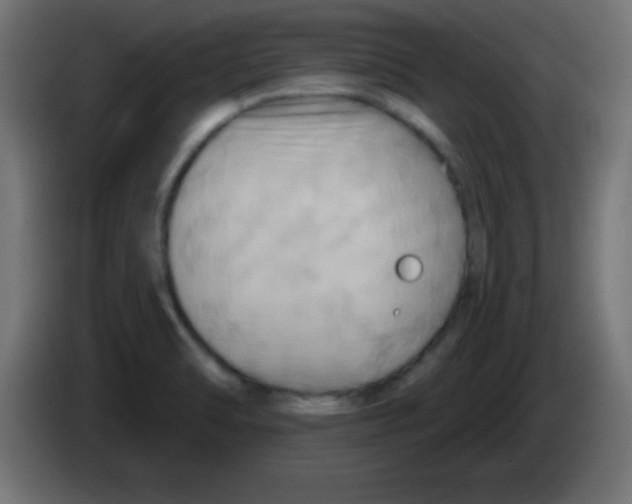 X0000083041470200703022038