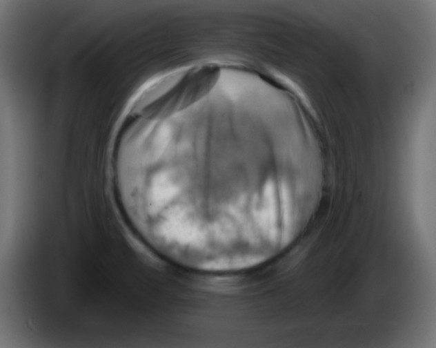 X0000083041471200703022038