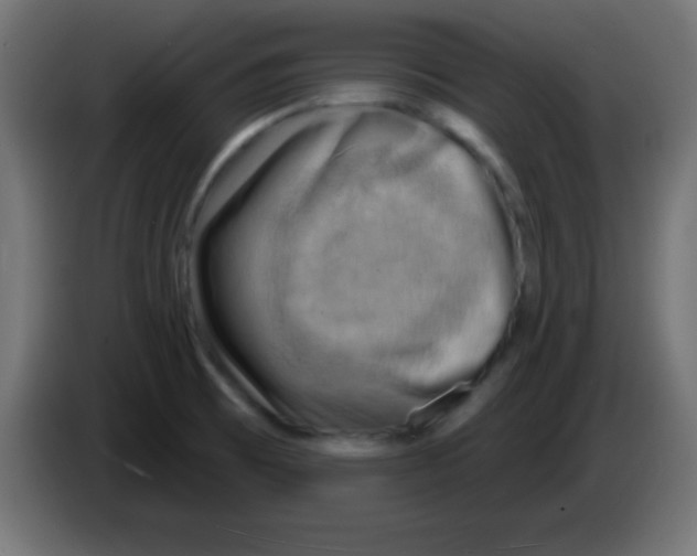 X0000083041473200703022037