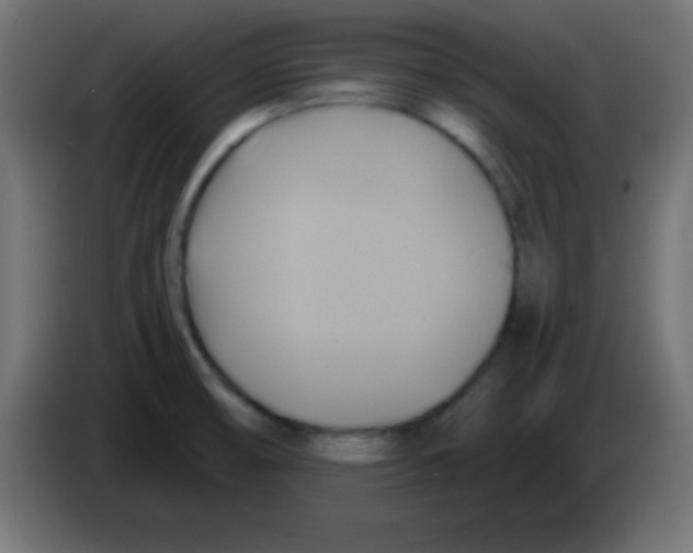 X0000083041474200703022037