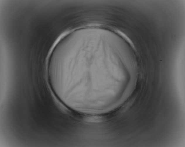 X0000083041475200703022037