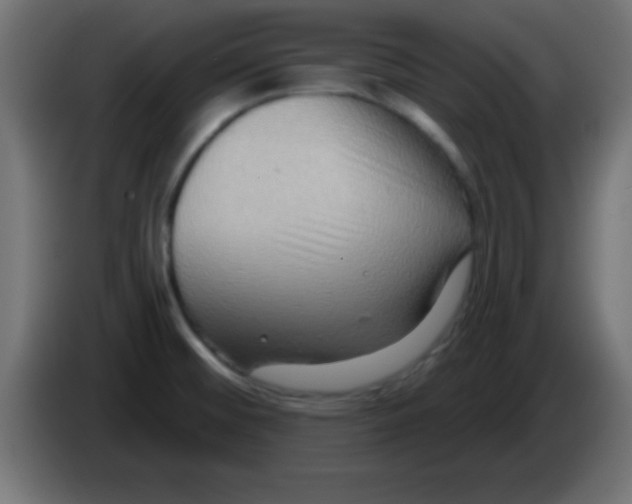 X0000083041476200703022037