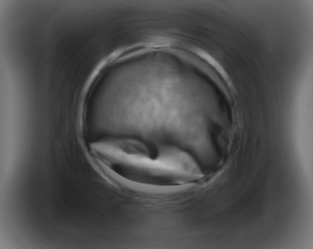 X0000083041477200703022037