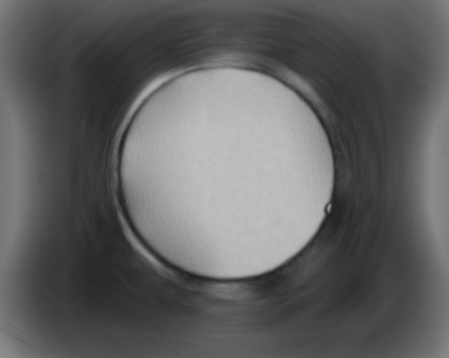 X0000083041479200703022037