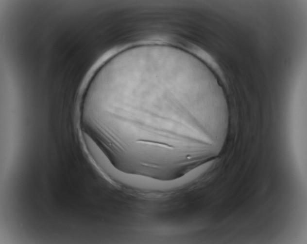 X0000083041480200703022037