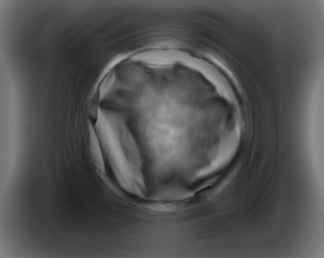 X0000083041481200703022037