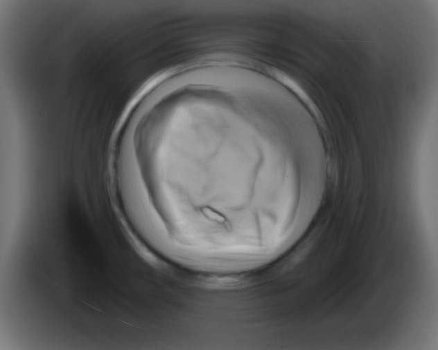 X0000083041482200703022037