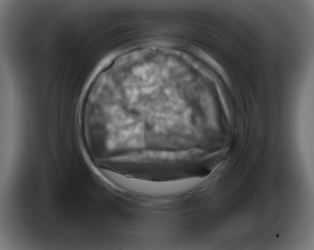 X0000083041483200703022037