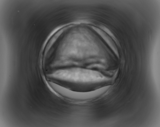 X0000083041484200703022037